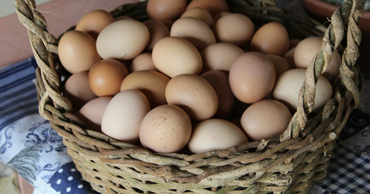 Foods that lower oestrogen: true or not